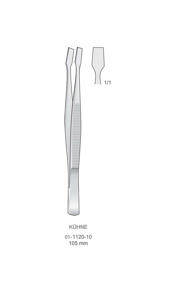 Tissue Forceps , K?HNE