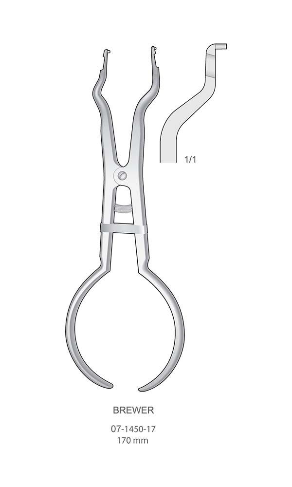 Rubber-Dam Clamp Forceps , BREWER