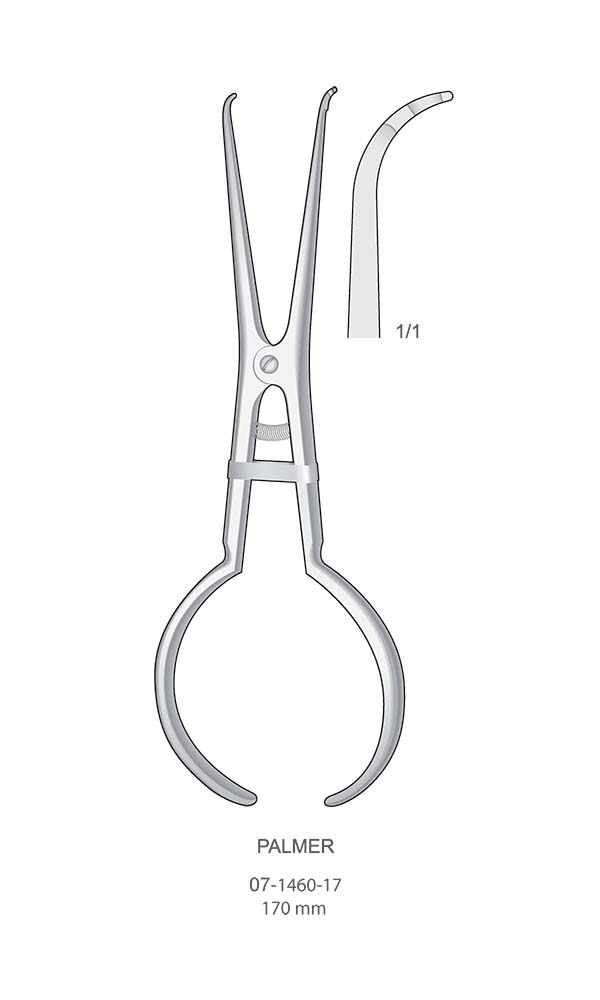 Rubber-Dam Clamp Forceps , PALMER