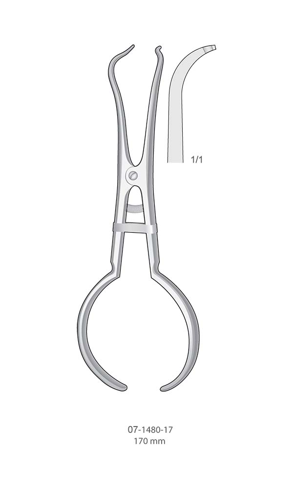 Rubber-Dam Clamp Forceps