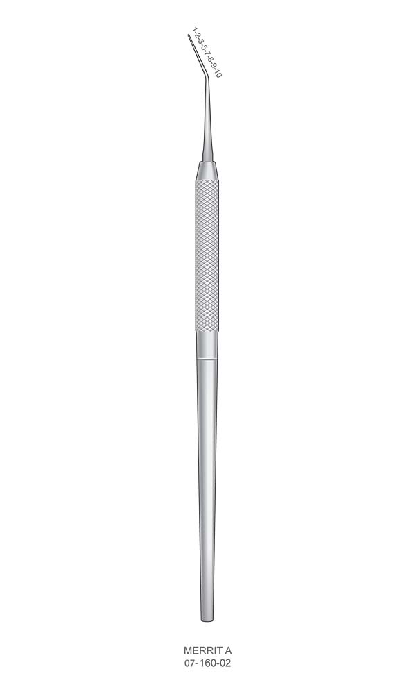 Periodontal Probes , MERRIT A