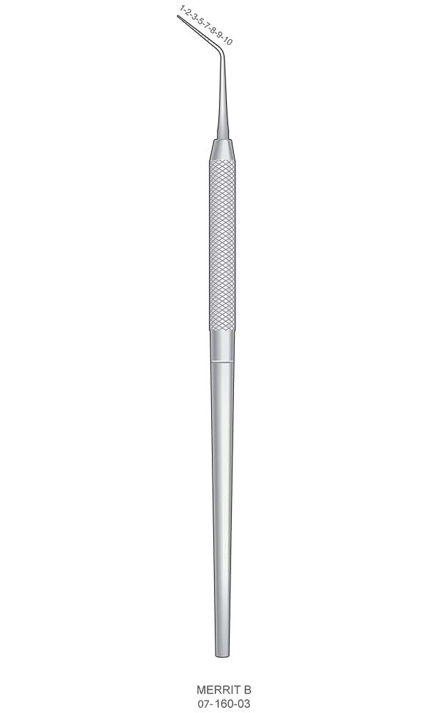 Periodontal Probes , MERRIT B