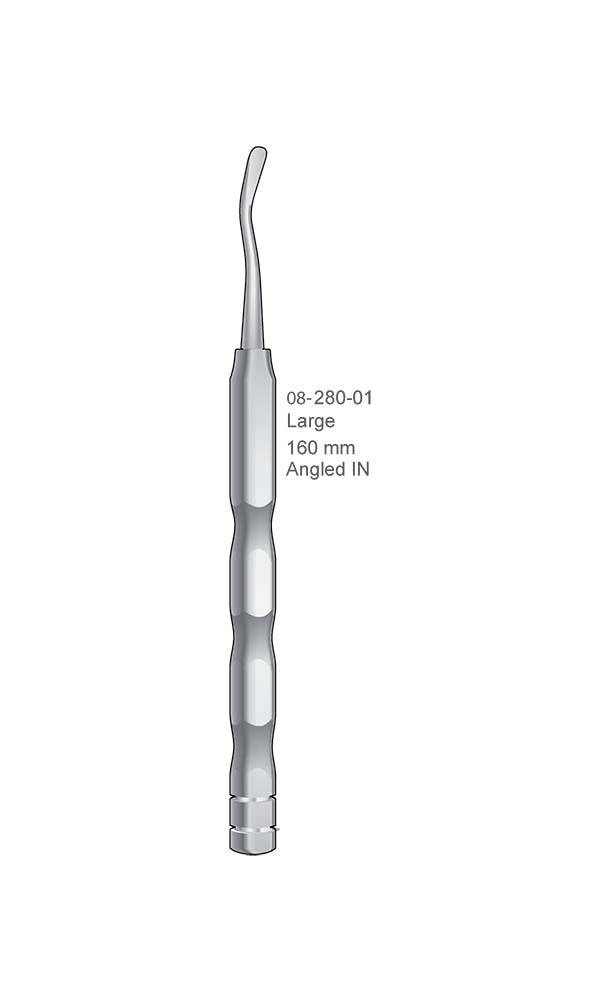 Root Elevators , Angled IN , Large