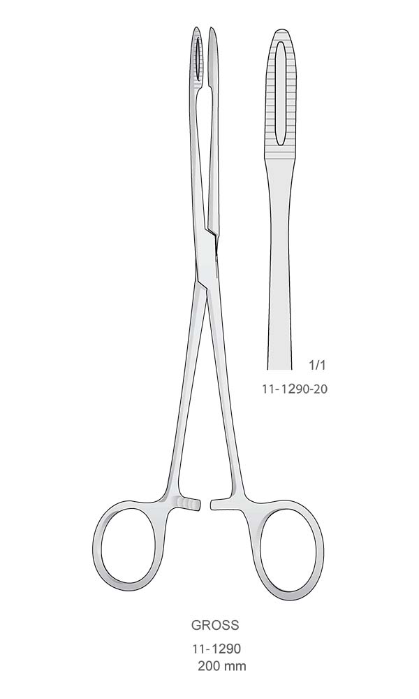 Sponge and Dressing Forceps , GROSS