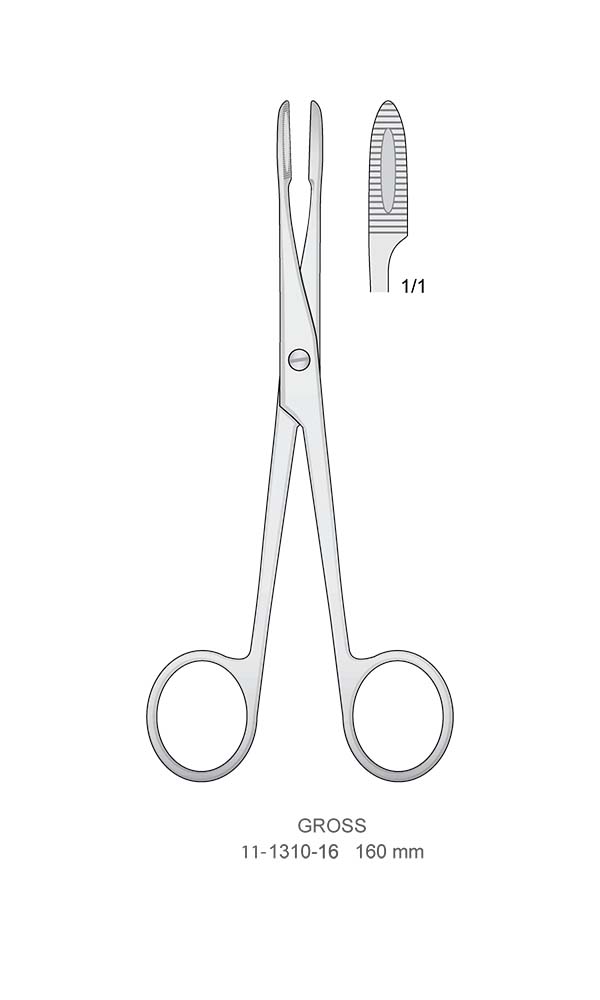 Sponge and Dressing Forceps , GROSS