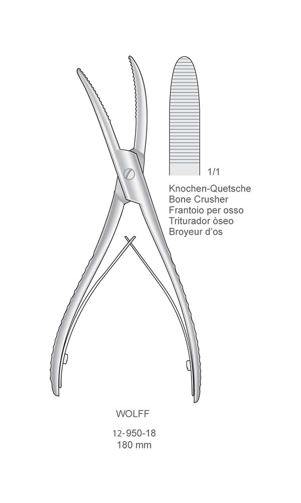 Retractors - Bone Holding Forceps , WOLFF