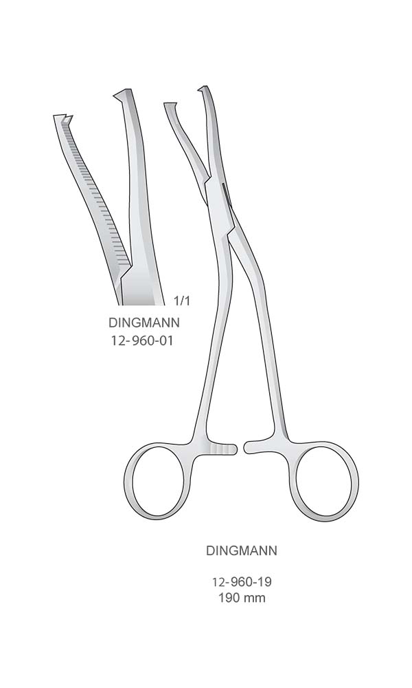 Retractors - Bone Holding Forceps , DINGMANN