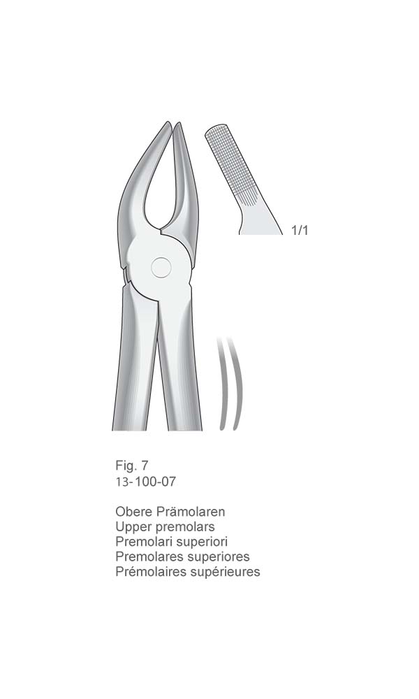 Extracting Forceps, English Pattern , Fig. 7