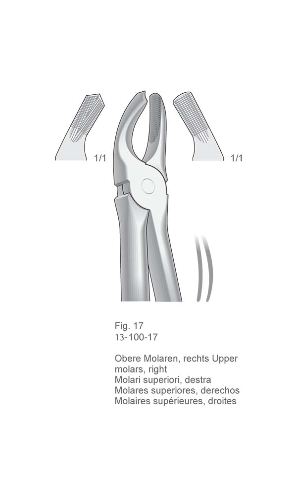 Extracting Forceps, English Pattern , Fig. 17