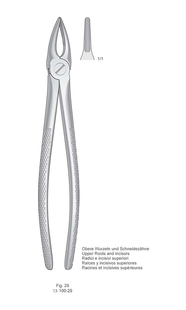 Extracting Forceps, English Pattern , Fig. 29