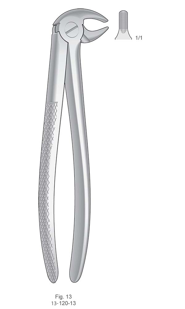 Extracting Forceps, English Pattern , Fig. 13