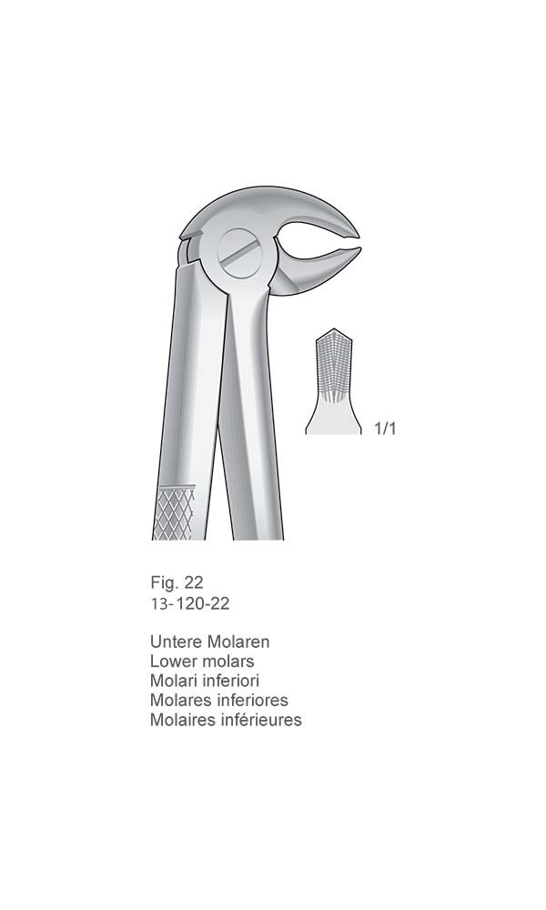 Extracting Forceps, English Pattern , Fig. 22