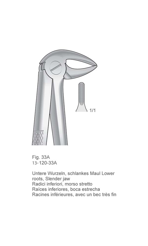 Extracting Forceps, English Pattern , Fig. 33A