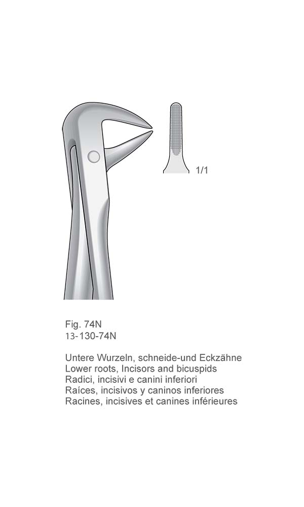 Extracting Forceps, English Pattern , Fig. 74N