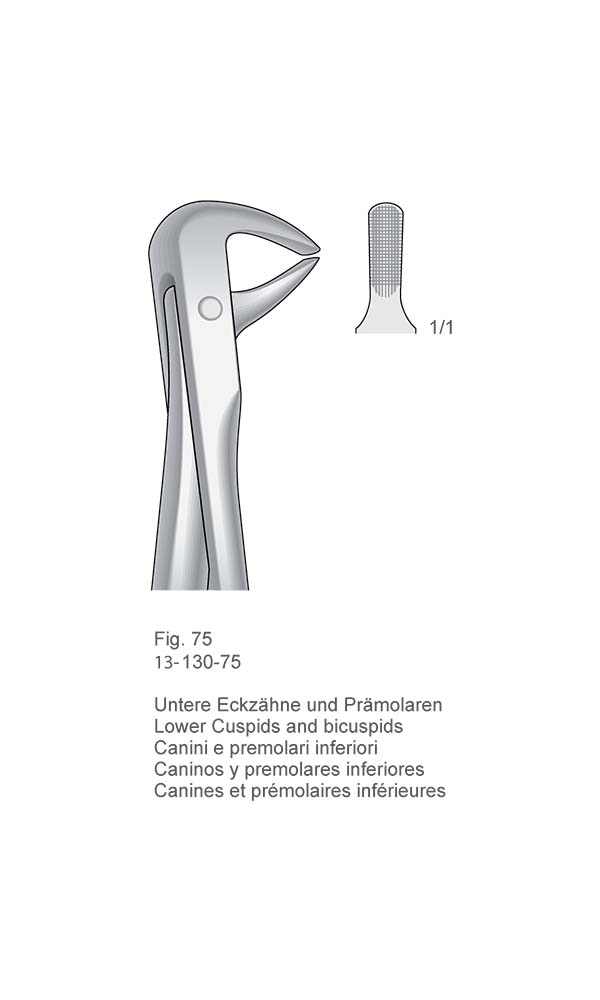 Extracting Forceps, English Pattern , Fig. 75