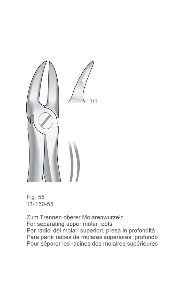 Extracting Forceps, English Pattern , Fig. 55