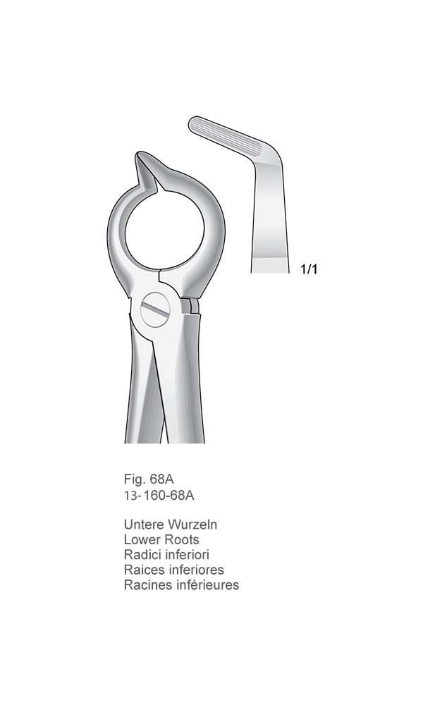 Extracting Forceps, English Pattern , Fig. 68A