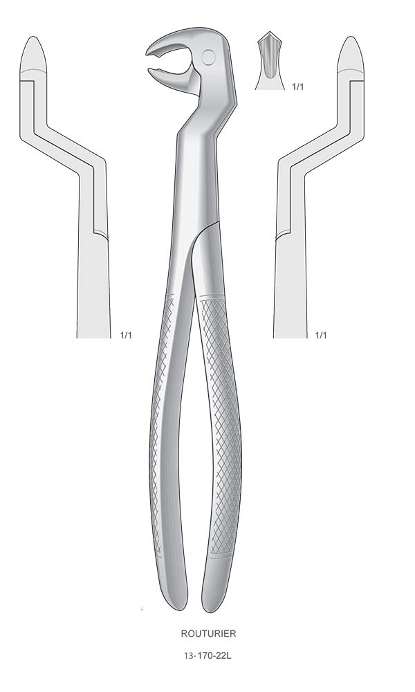 Extracting Forceps, English Pattern , ROUTURIER