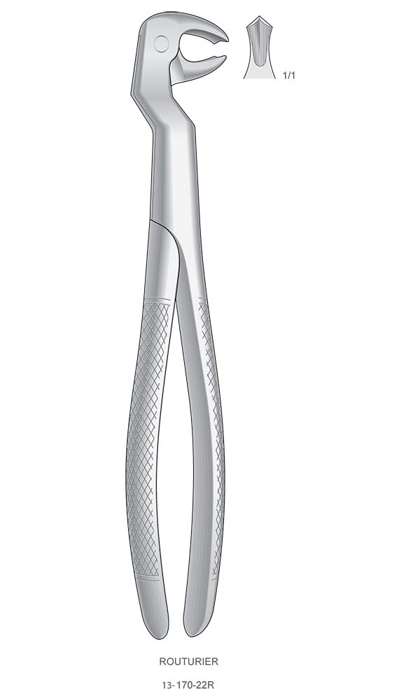 Extracting Forceps, English Pattern , ROUTURIER