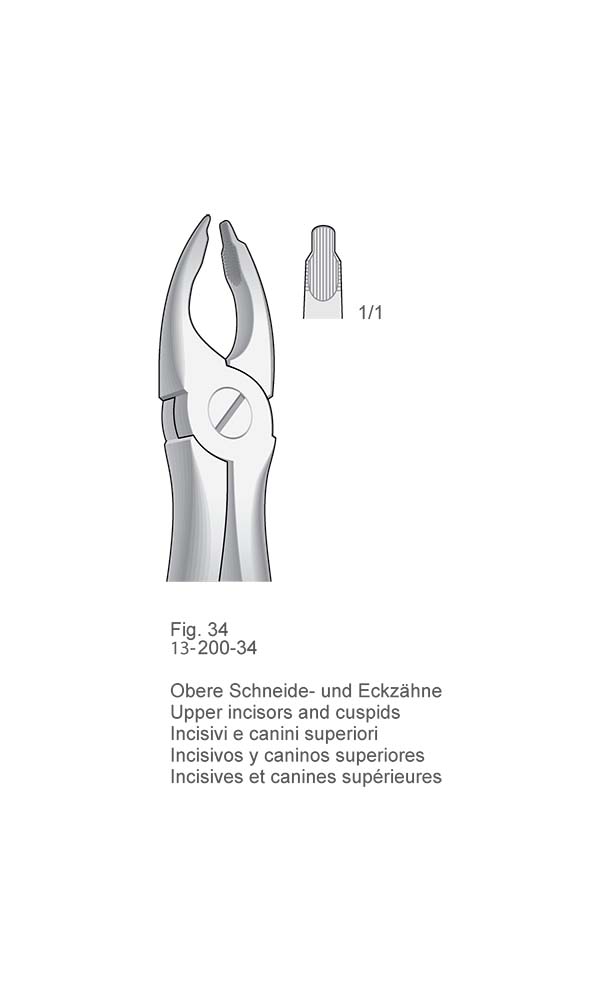 Extracting Forceps, Anatomical Handle , Fig. 34