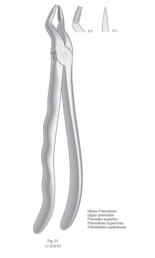 Extracting Forceps, Anatomical Handle , Fig. 31