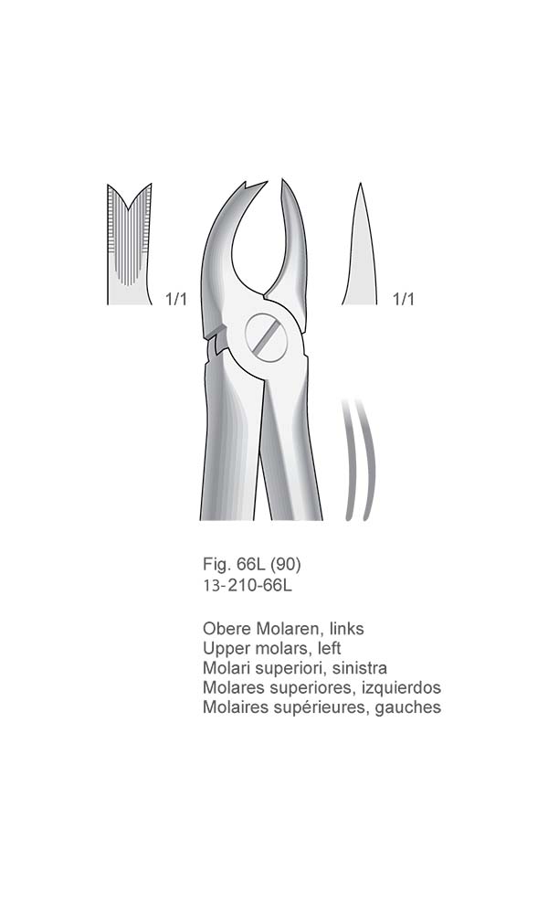 Extracting Forceps, Anatomical Handle , Fig. 66L (90)