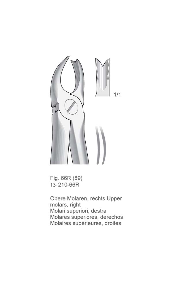 Extracting Forceps, Anatomical Handle , Fig. 66R (89)