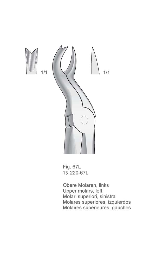 Extracting Forceps, Anatomical Handle , Fig. 67L