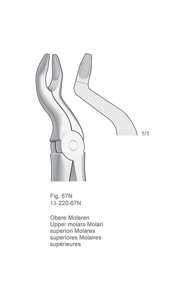 Extracting Forceps, Anatomical Handle , Fig. 67N