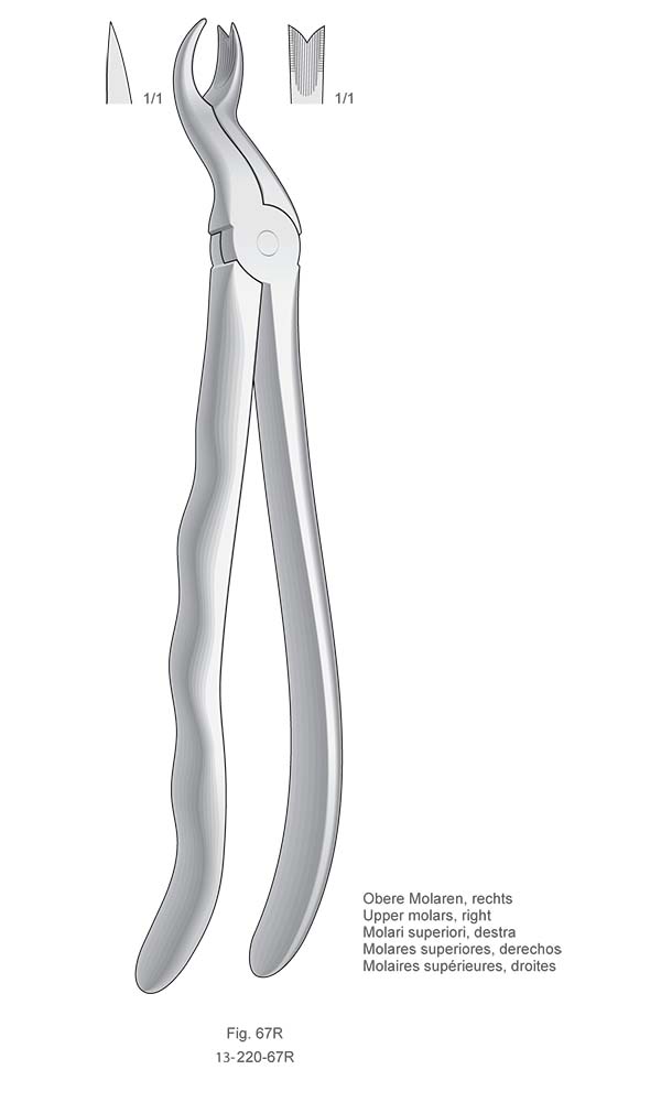 Extracting Forceps, Anatomical Handle , Fig. 67R