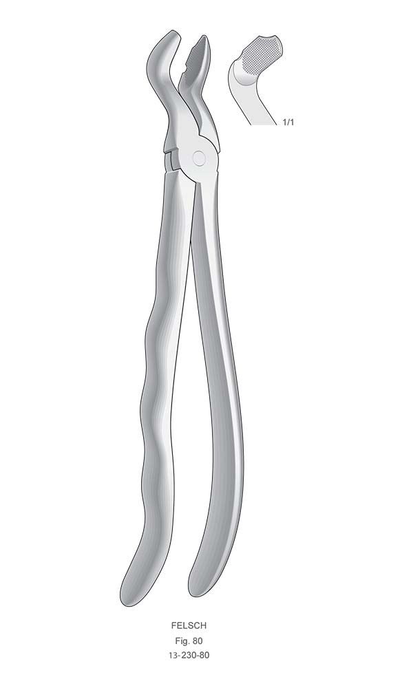 Extracting Forceps, Anatomical Handle , FELSCH , Fig. 80