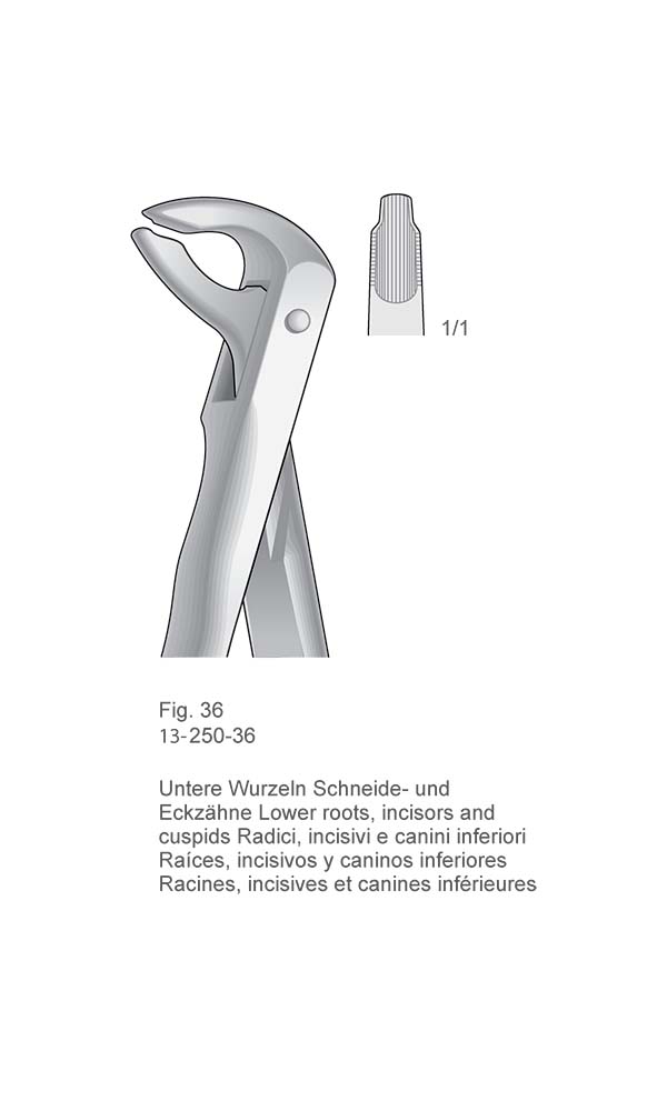 Extracting Forceps, Anatomical Handle , Fig. 36