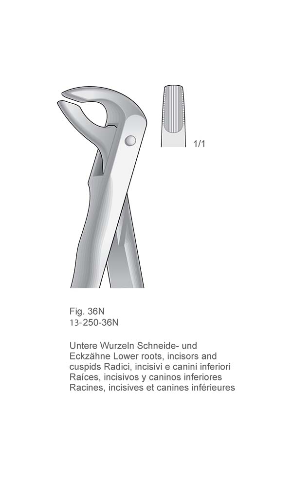 Extracting Forceps, Anatomical Handle , Fig. 36N