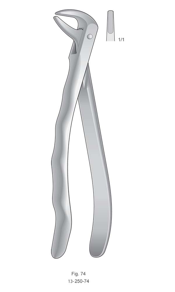 Extracting Forceps, Anatomical Handle , Fig. 74