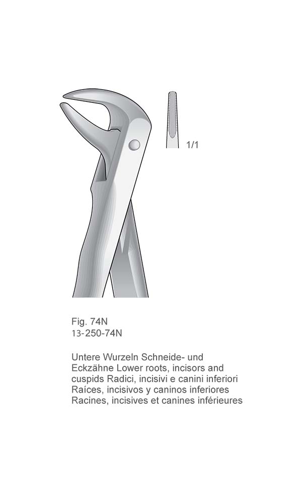 Extracting Forceps, Anatomical Handle , Fig. 74N