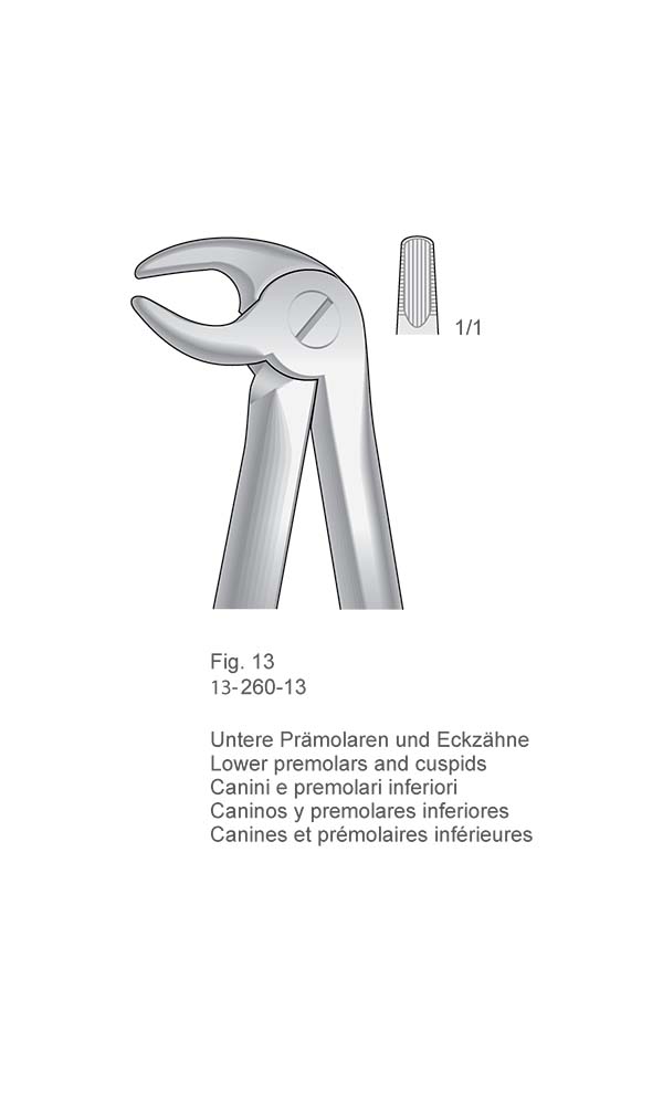 Extracting Forceps, Anatomical Handle , Fig. 13