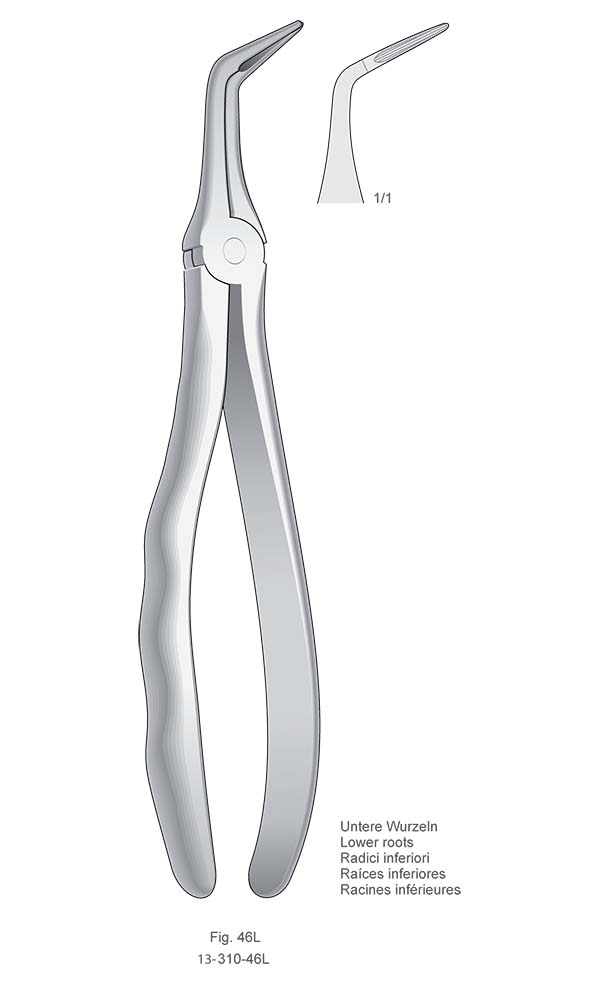 Extracting Forceps, Anatomical Handle , Fig. 46L