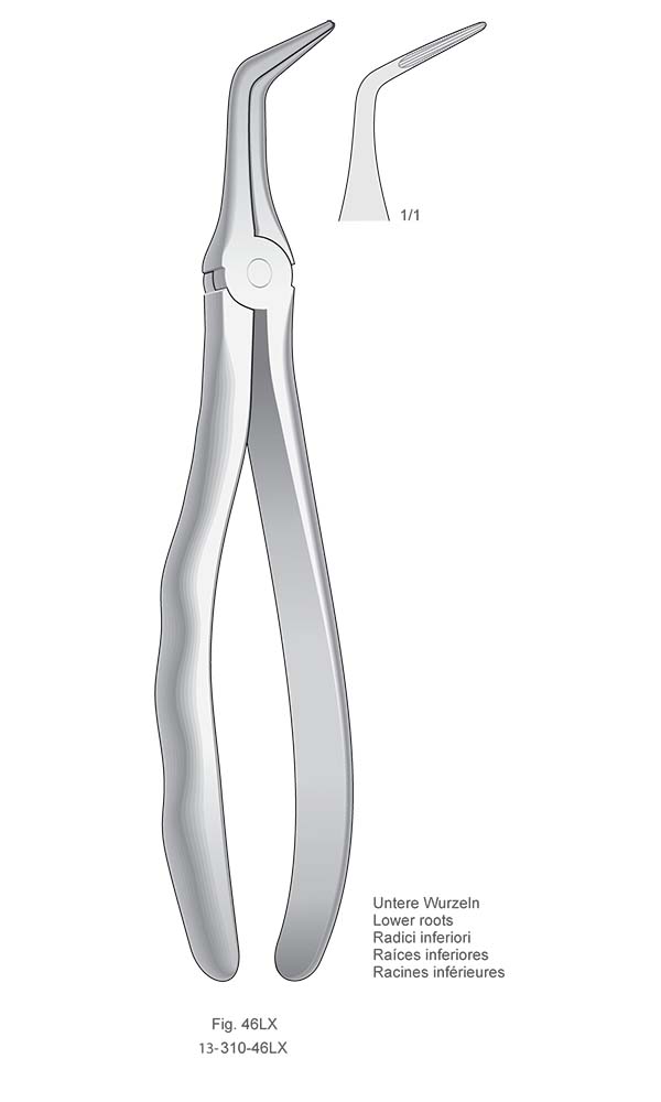 Extracting Forceps, Anatomical Handle , Fig. 46LX