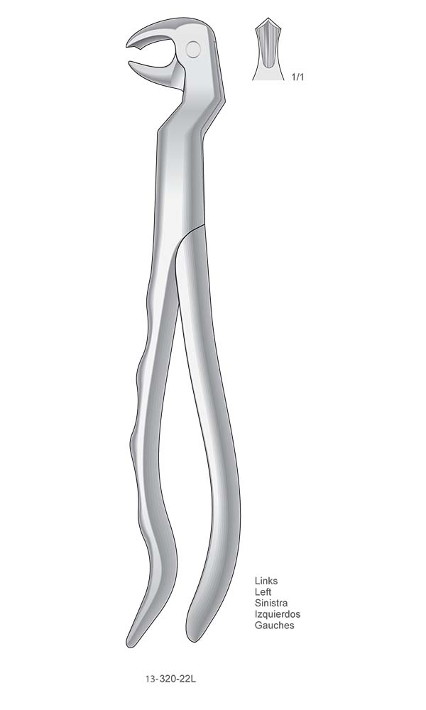 Extracting Forceps, Anatomical Handle , Left