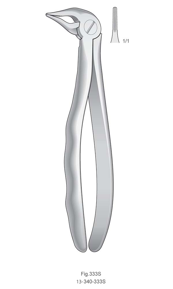 Extracting Forceps, Anatomical Handle , Fig.333S , Right