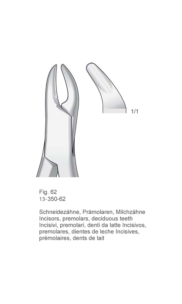 Extracting Forceps, American Pattern , Fig. 62