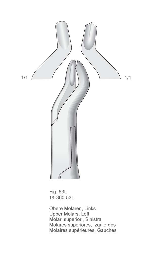 Extracting Forceps, American Pattern , Fig. 53L