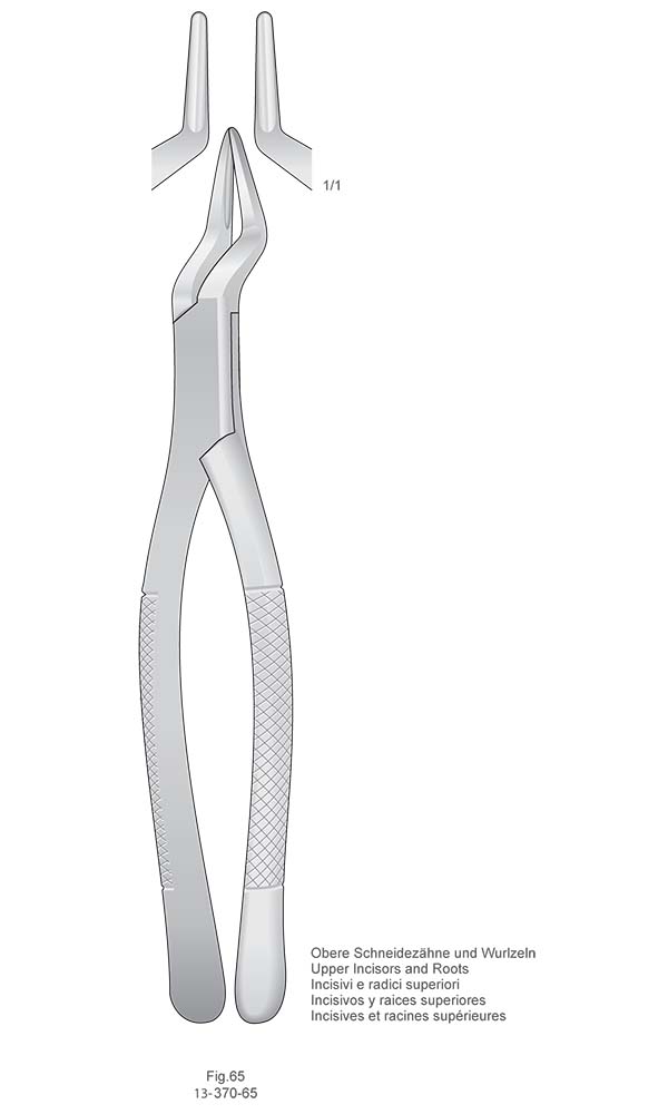 Extracting Forceps, American Pattern , Fig.65