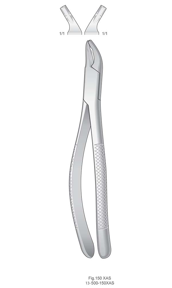 Extracting Forceps, American Pattern , For children ,