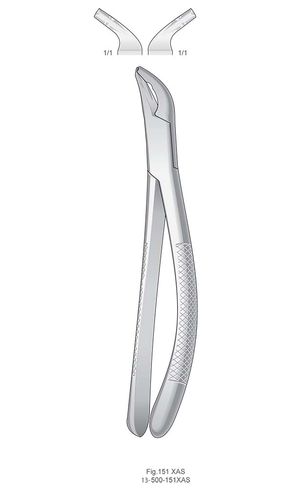 Extracting Forceps, American Pattern , For children ,