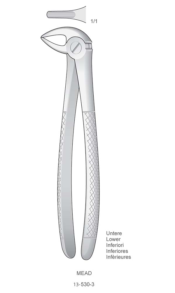 Extracting Forceps , MEAD , Lower