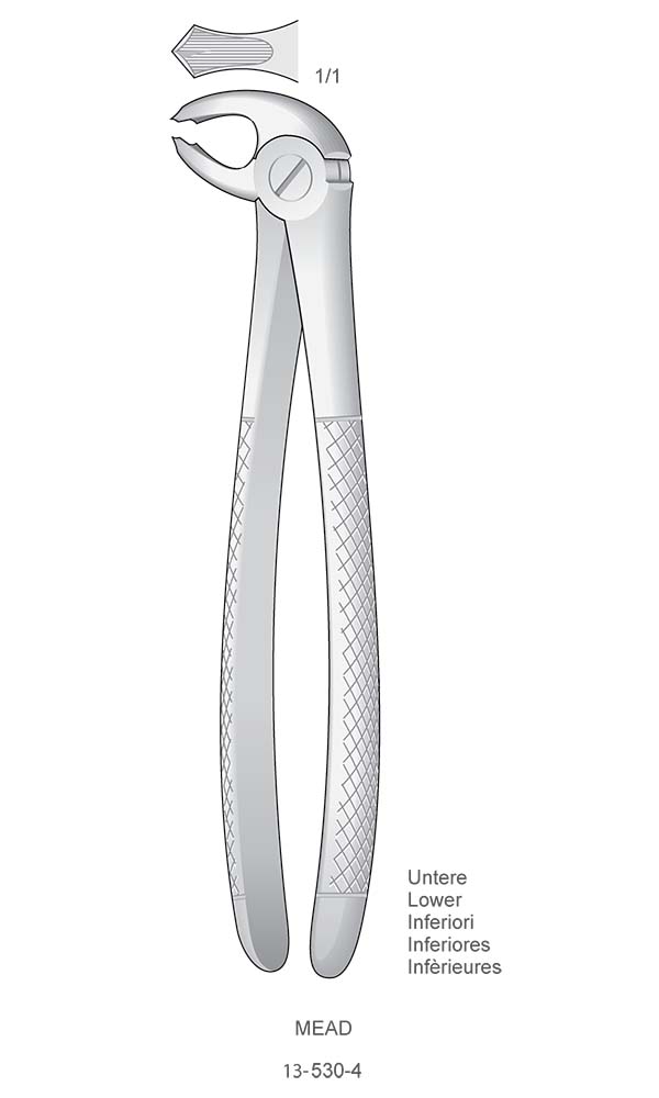 Extracting Forceps , MEAD , Lower