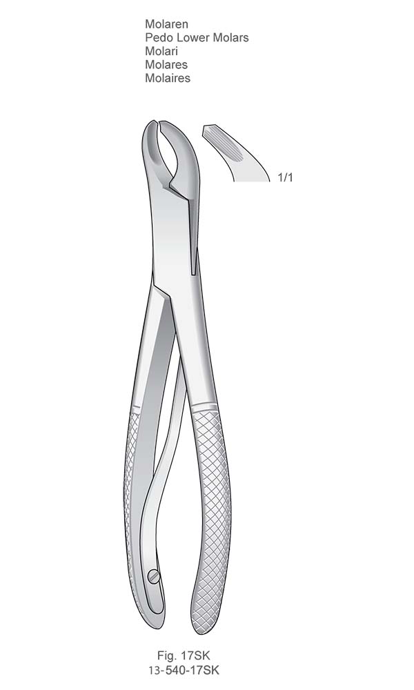 Extracting Forceps for children, American Pattern