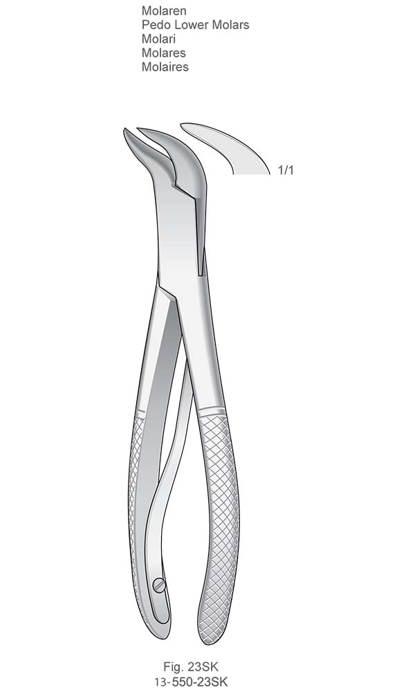 Extracting Forceps for children, American Pattern