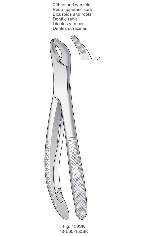 Extracting Forceps for children, American Pattern